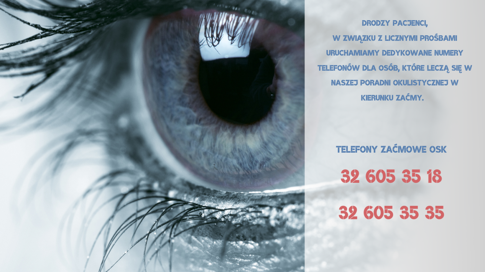 Komunikat ws dedykowanych numerów telefonów 