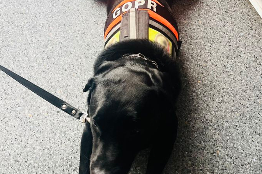 Psi bohater z wizytą w OSK Katowice!